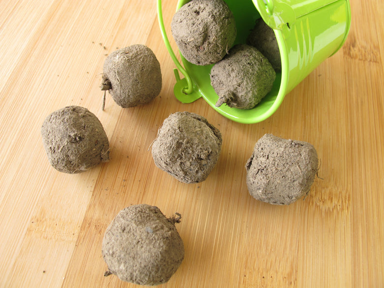 Bombs Away! DIY Seed Bombs