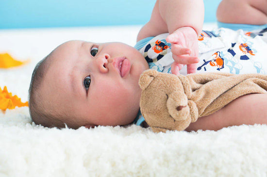 Brown Bear Security Blankie